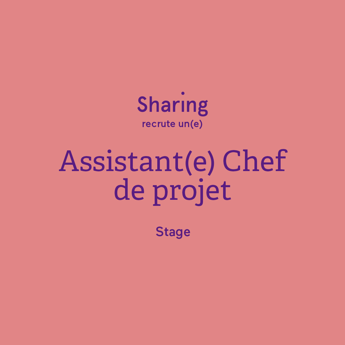 sharing recrute chef de projet communication stage